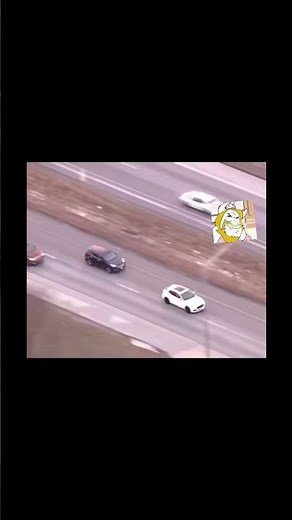 Asgore runs over dess #undertale #deltarune #sans #sansmeme #tobyfox #foryou #papyrus