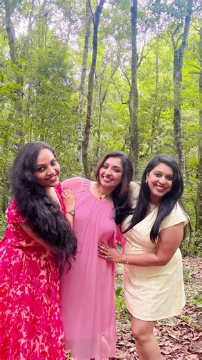 Kattumele | salt mango tree #funny #malayalmcinema #malayalammovie #mallu #friendship #koottu