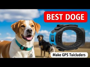 TOP 5 Best Dog GPS Trackers 2026 | GPS tracking for pets