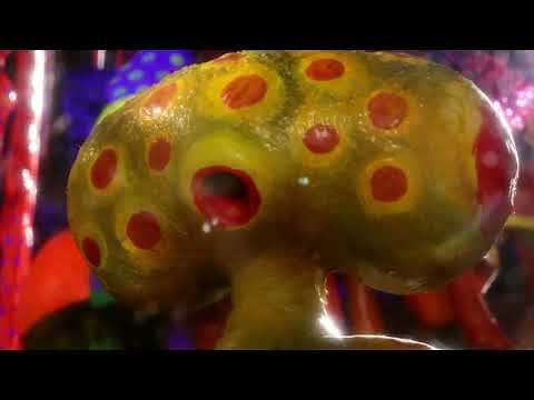 Mad God (2021) - The Alchemist does an experiment