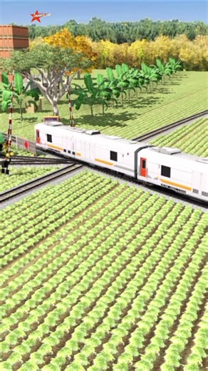 Kereta Api Panjang Melintasi Palang Pintu Rel Persilangan #train #railway #automobile