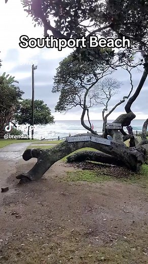 Magical Sunrises at Southport Beach, KZN