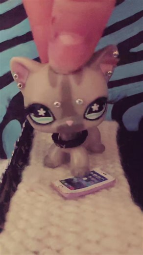 ayesha 😍 #fyp #lps #littlestpetshop #fyppppppppppppppppppppppp #fypシ @yyc.jaina💗 @ᯓ★𝕽𝖔𝖘𝖊.ᐟ @iwishididntcaresomuch0 @ꨄ︎ @꧁ kendall ꧂