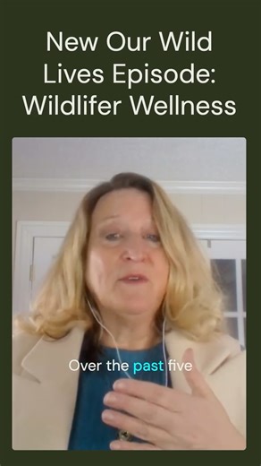 The Wildlife Society | Our winter 2026 issue of The Wildlife Professional featured a special focus on the mental health of wildlifers with articles discussing... | Instagram