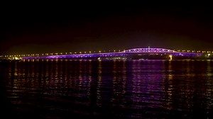 We're counting down the 12 days of a Kiwi Christmas with Vector Lights. Based on A Pukeko in a Ponga Tree by Kingi Ihaka, the Auckland Harbour Bridge will display a dazzling light show. The show will repeat every 15 minutes from Thursday 13 to Monday 24 December from 9pm until midnight. | Auckland Council