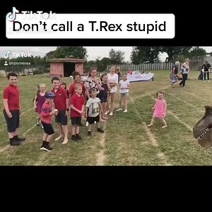 1.1K views · 16 reactions | Don’t call a T rex stupid that’s the best advice I can give you. #T-Rex #Dinosaur #Dinomania #Ronnie #Dino #Ranger #Chris | Dinomania | Facebook