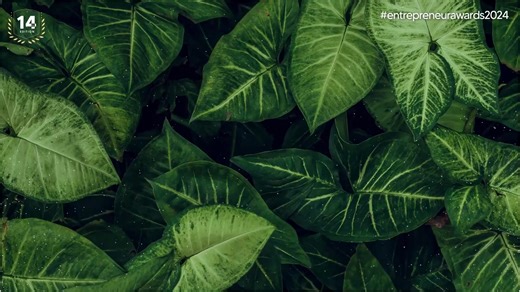 #Throwback to Entrepreneur 2024, where Dolly Singh, content creator, actor & storyteller, shared her journey, insights, and the power of authenticity in building a brand and a voice that truly connects. This year at Entrepreneur 2025, get ready for even more inspiring voices shaping the future of entrepreneurship! #Entrepreneur2025 #DollySingh #ContentCreators #Entrepreneurship #CreatorsEconomy #BusinessSummit #Inspiration | Entrepreneur India | Facebook