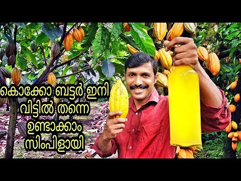 Cocoa Butter Preparation at Home Using Natural Cocoa | How to Make Cocoa Butter at Home
