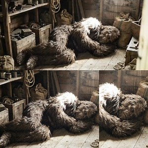 He Caught Bigfoot Sleeping in His Cabin Shed, What Happened Next is Shocking - Sasquatch Story Chapter 1: The Weight of Memory It’s been years since I’ve thought about it, but I can’t get the image out of my head. I guess I’ve been holding on to the memory, trying to convince myself it was just a dream. But maybe it’s time to tell someone. I’m Hank Miller, 48 now, living down in Enumclaw. It was late October 2017, a quiet evening up in the Cascades near Greenwater. The wind was howling outside, 