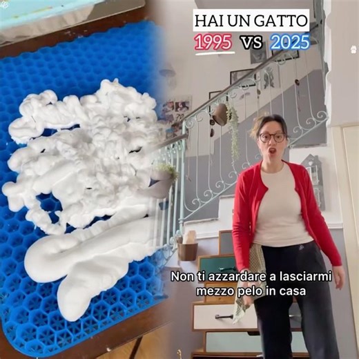 Team 1995 o 2025 😅 (Nessun gatto è stato maltrattato, mio marito invece si)
