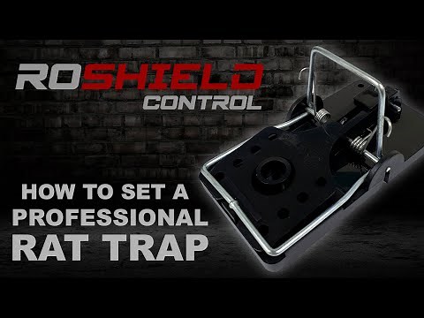 How to set a Roshield Professional Rat Trap