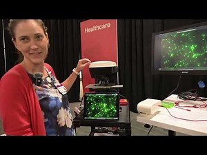 Dr. Jennifer Grier and the Echo Revolve Microscope