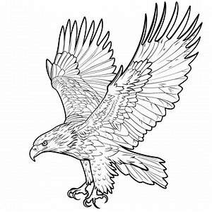 Eagle Bald Realistic Line Art Illustration Black and White Bundle 2 43 Digital Ai Line Art PNG-SVG (digital Download) - Etsy