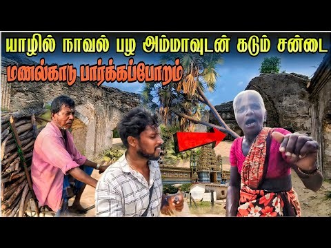 🛑யாழில் தீடீர் சண்டை நாவல்பழ அம்மா | மனல்காடு பார்க்கப்போறம் |jaffna village life