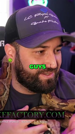 Snake Growth Secrets: How Big Do They REALLY Get? #shorts