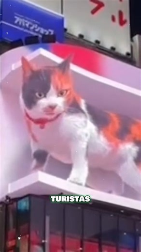 Cartelera de gatos 3D en Japón | Incognita