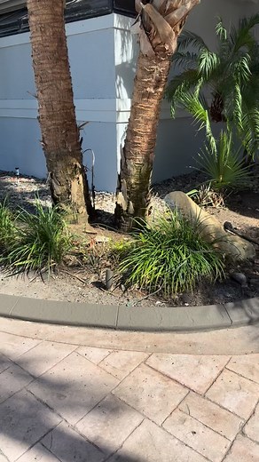  Fresh Curbing Alert in The Vines – Estero, FL!  Check out this...
