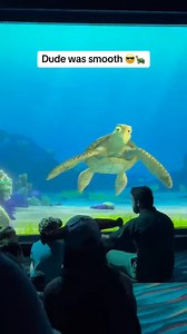 Part 622 #turtletalkwithcrush #turtletalk #funny #turtle #disney #talkshow #kids #ask #reelsvideo #viralvideo #fypシ゚viral | EPCOT Turtle Talk with Crush