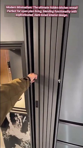 Sleek Hidden Kitchen Transforms Open Concept Space.