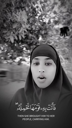 استكشف معاني القرآن الكريم