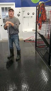 Here's Doby aka Teddy Bear ❤ We are going to have him examined one more time and he will be available for adoption ASAP! He is one awesome dude. We would keep him in a heartbeat. | 911 Dog Rescue Inc.