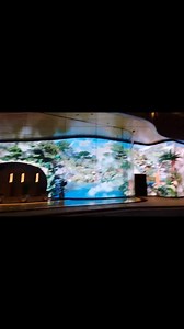 led screen display wall #screen #display #panel #media #ledscreen #leddisplay #ledwall #billboard #sign #factory #bigscreen #video #led #lighting #wall #DIY | Apollomi LED Screen Display Factory