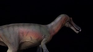 84 Baryonyx Maxim Model Spinosauridae Prehistoric Dinosaur Collector Animal Decor Gift