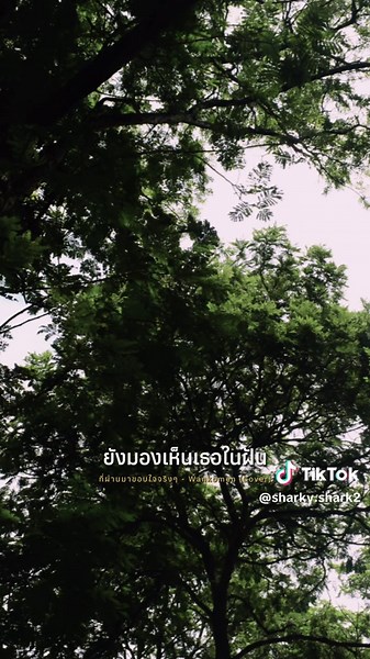 แนะนำเพลงเศร้าๆ อกหักโดนใจ