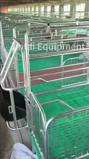 🐖 Why Farrowing Crates Matter