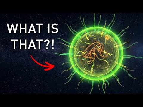 James Webb Detects Strange Anomaly Near the Kuiper Belt — Scientists Stunned