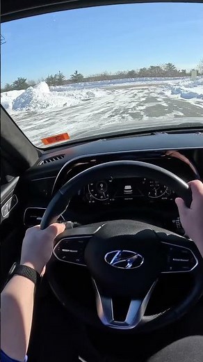 You may need to buy a Hyundai Palisade… #youtubeshorts