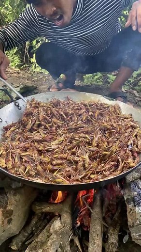 32_#cookingfood #food Amazing finding locusts & cook locusts recipe - Eating delicious