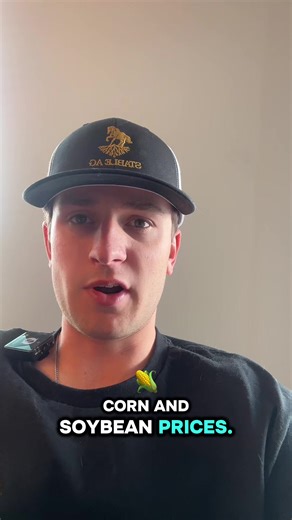 Corn trades globally… safety nets are political #politics #farmpolicy #agtok #ruralamerica #grainprices