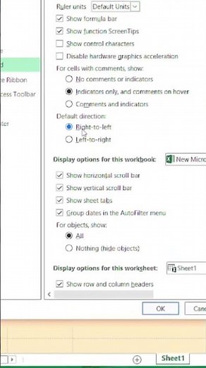 معقول لسه ما تعرفش تغيير الاتجاه الافتراضي للشيت من خيارات اكسل| Default Sheet Direction ✨