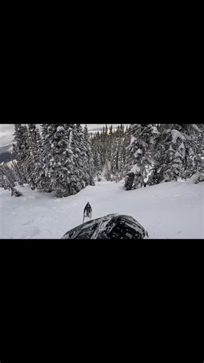 Awesome kickoff to the season in Revelstoke!! Helluva crew, good snow & awesome country.❄️❄️🙌 @klim @polarissnow @backwoodsbmp @carls_cycle_sales @kurtspolaris @penco_powerproducts @deviantink @highrockoutfittersmt @journeytohealthwithjosie #logit #snowmobiles #backcountrysnowmobiling #boostcrew #sledrevelstoke #sendit | Kase Anderson