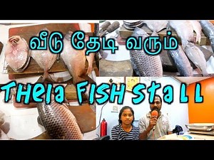 Theia Sea Foods (Fish Stall) T Nagar, Chennai, -+91-9003084346 +91-9841184346