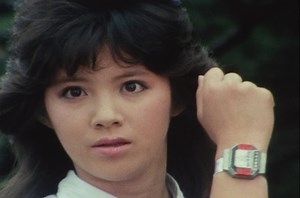 Super Electronic Bioman [1984– ]