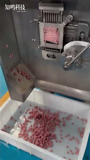 Multi-functional dicing machine - I am the manufacturer