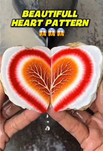 OMG... This stone is absolutely fantastic, the pattern resembles a heart #lapidary #gemstone #minerals #Ai