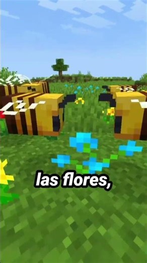 el USO SECRETO de la MIEL en MINECRAFT #minecraft #shorts #shortvideo