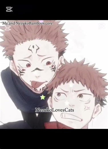 🎀 ME AND @NezukoBamboos CORE :3 || #JJK #ryomensukuna #yujiitadori #core #caca ☆