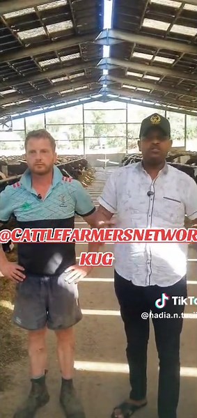Understanding Cattle Breeding for Sustainable Farming