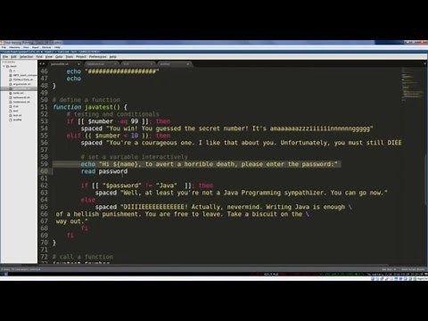 Bash Scripting 7: Functions and Course Review