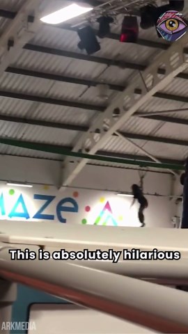 Zipline ride takes an unexpected turn