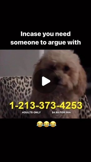 DJ Whoo Kid on Instagram: "😂😂😂 let’s start some shit this monday! #whoodini 👀🔊"