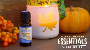 16K views · 269 reactions | With just a little bit of time and some...