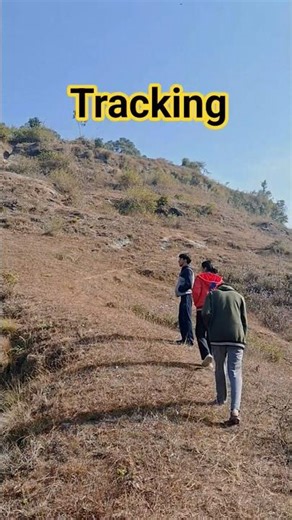 Tracking 😎🌄 #tracking #shorts #viral #music