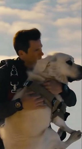 Terrifying Dog Skydive Moment Caught on Camera