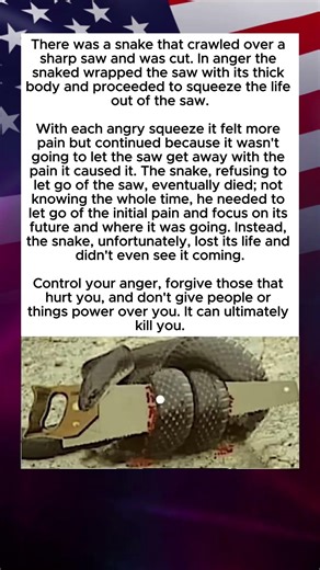 The Snake and the Saw