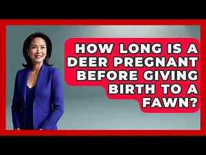 How Long Is A Deer Pregnant Before Giving Birth To A Fawn? - The Wild Life Explorer